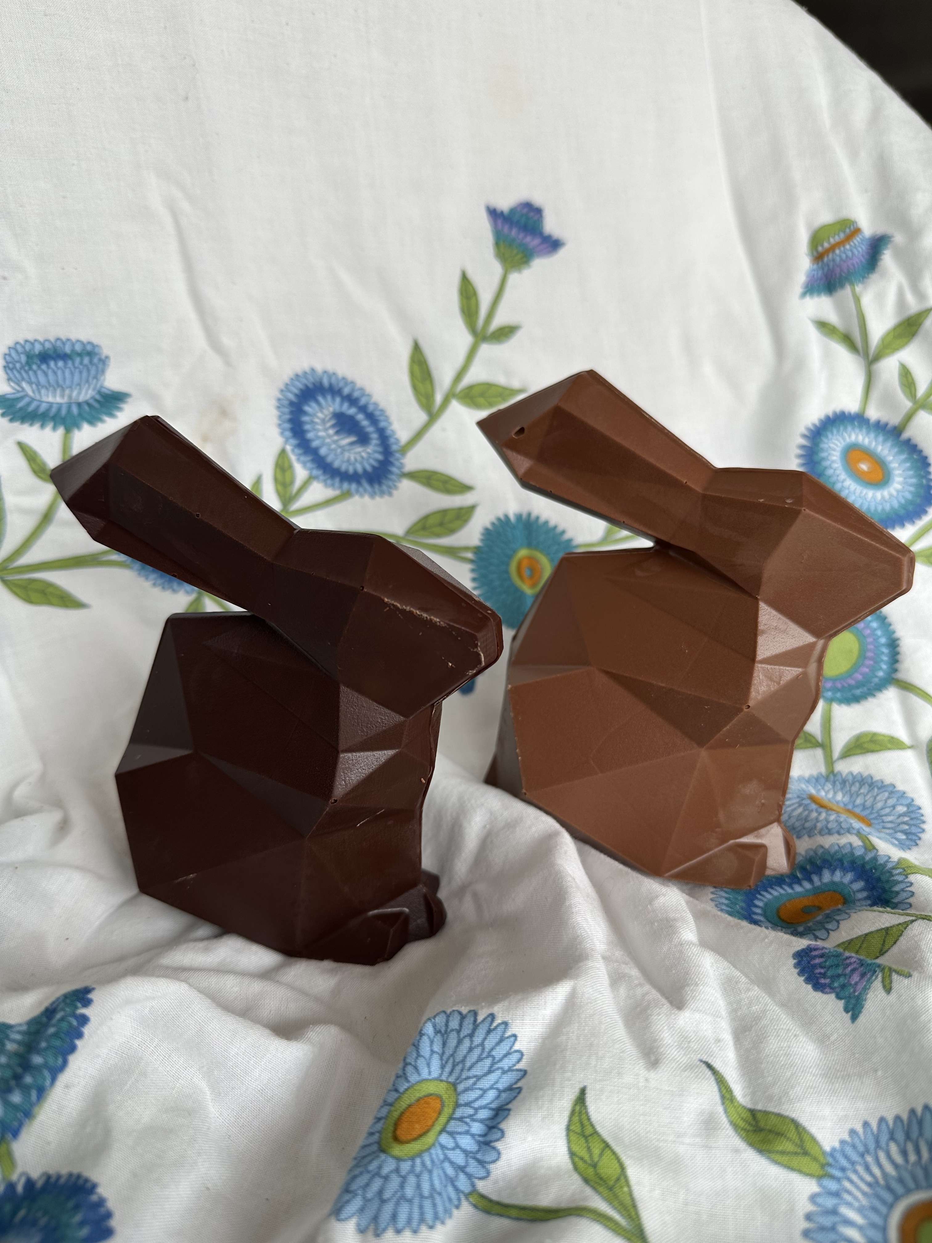 photo Lapin à facettes