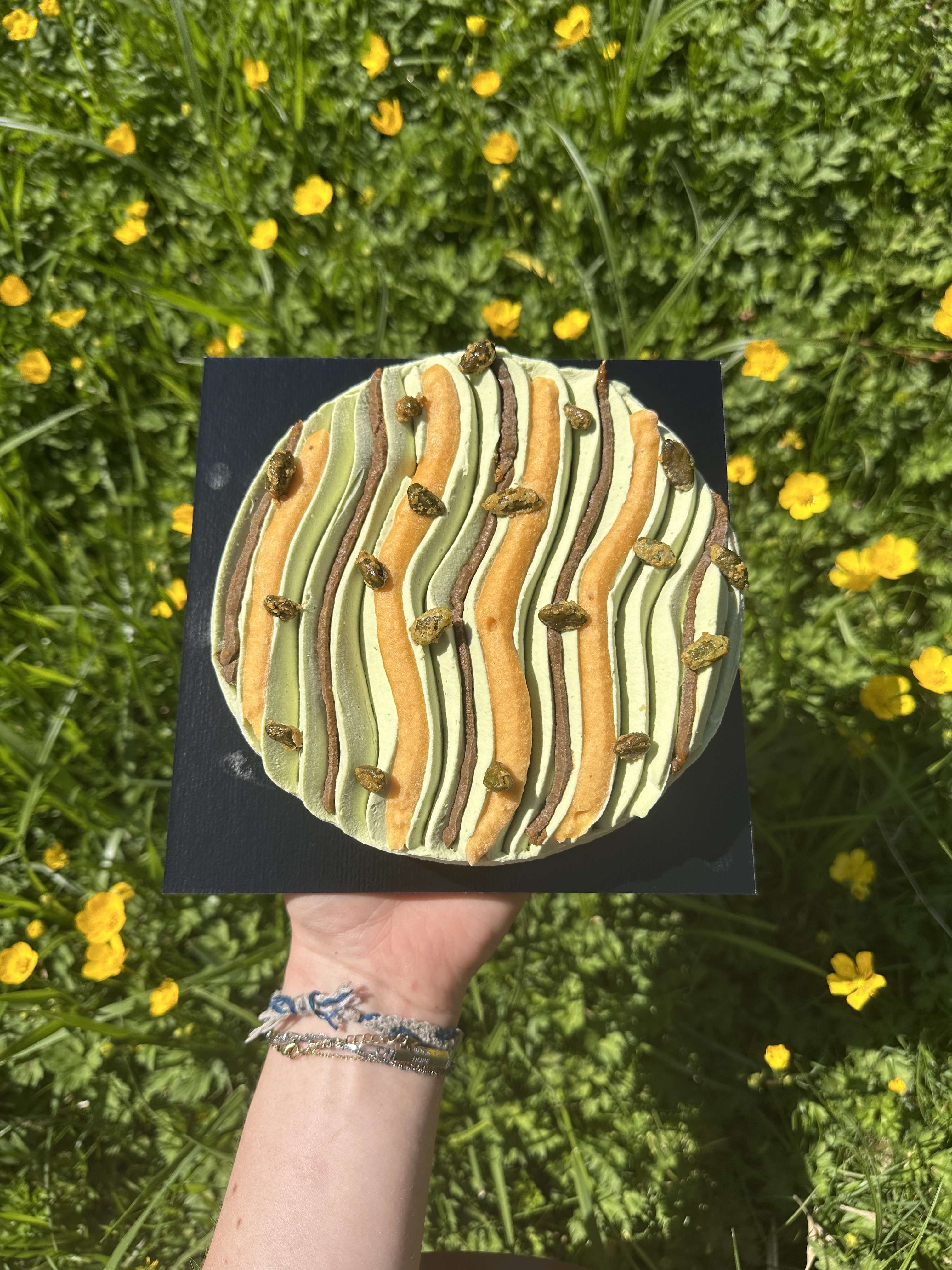 photo Tarte Abricot/Pistache