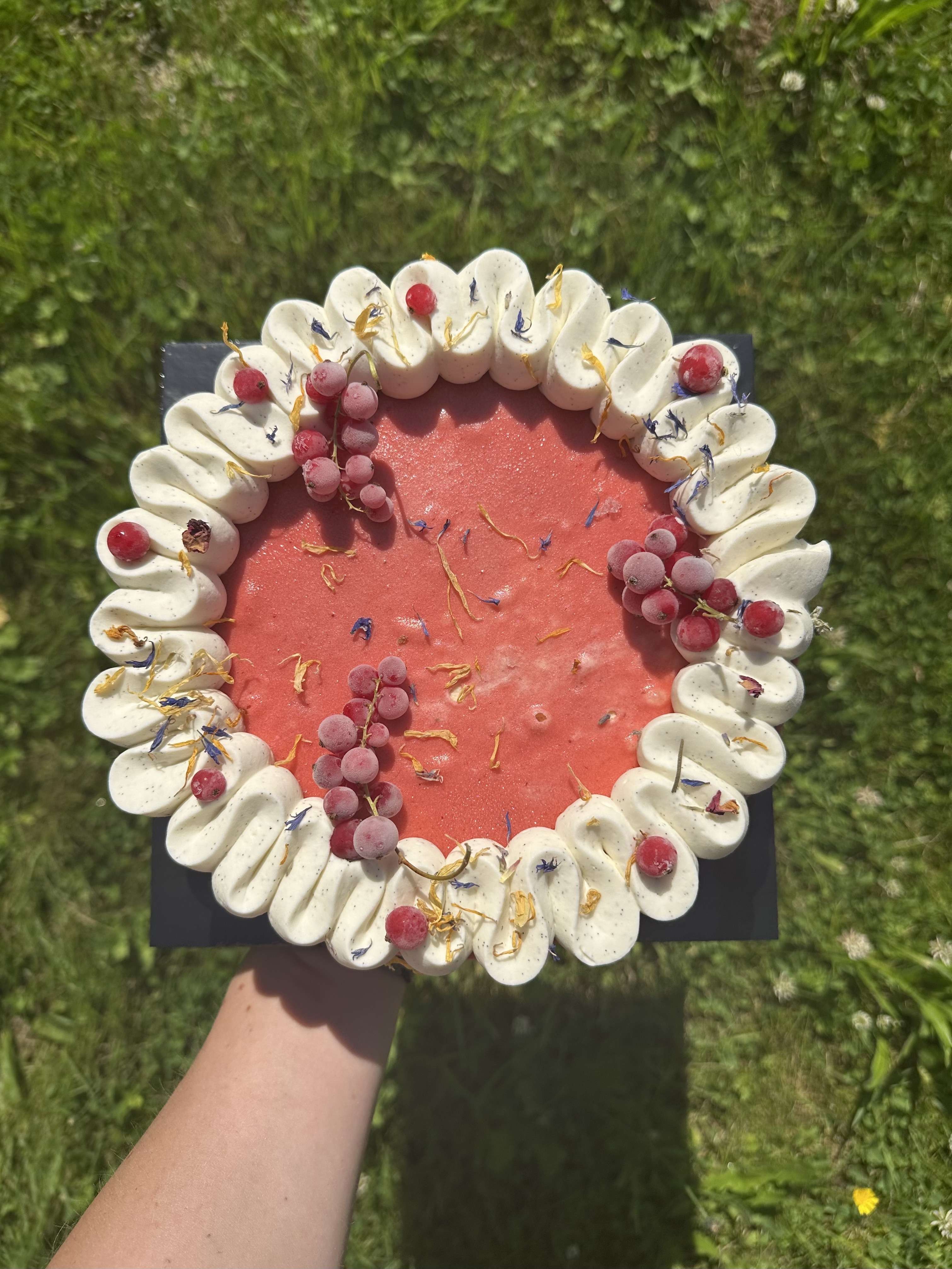 photo Fraise des prés glacés